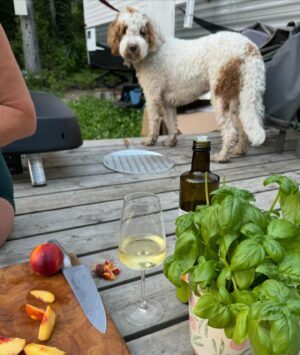 Geneviève O'Gleman Instagram - Soirée pizza au bord du Lac St-Jean!

L’été dernier, ma grande amie Caro m’a invitée pour faire du télétravail dans sa roulotte située sur le bord du Lac St-Jean… j’ai tellement aimé ça que c’est devenu mon rendez-vous annuel! 

Télétravail le jour, et dès que je ferme mon portable, j’enfile mon maillot et je plonge dans le lac!

De retour cette année, on a enchaîné les bonnes bouffes et les bons moments ensemble. 

Hier soir, un verre de blanc à la main, on s’est amusées à faire des pizzas sur sa petite terrasse, sous la supervision de son Double Doodle Pauline (alias Popo!) 

Notre création : pizza blanche, burrata, prosciutto, pêches, basilic et huile d’olive. Un délice!

Et en passant @ricardocuisine ton four à pizza est parfait! 👌🏻👌🏻

J’adooooore venir au lac !! 

Geneviève xx