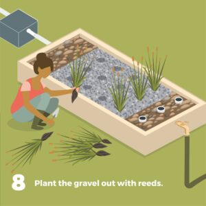 Geoff Lawton Instagram - Ready to transform your household greywater into a thriving ecosystem? Discover how with our latest infographic, offering a step-by-step guide on creating greywater reedbed systems. By harnessing nature's filtration power, you'll not only conserve water but also save money and prevent downstream pollution.

Interested in diving deeper into permaculture? Geoff's online Permaculture Design Certificate course provides comprehensive training in designing regenerative systems like these and much more! Click the link in our bio to learn more and sign up today! 

#permaculture #discoverpermaculture #permaculturecourse #greywater #reedbed #gardening #irrigation #greenliving #greendesign #sustainable #sustainableliving #sustainability #ecofriendly #waterconservation #recycling #recyclewater #environmentallyfriendly #renewableresources #organicgardening #howtomake #diy