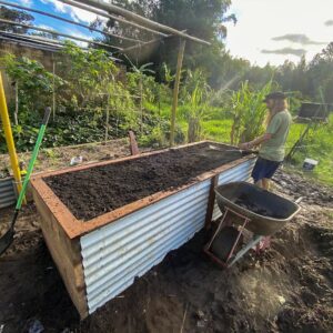 Geoff Lawton Instagram - With the help of Mario and Fabio, Geoff is in the kitchen garden, creating a new raised garden bed using recycled materials. After heavy rains saturated our contour beds, Geoff opted for this practical solution. He started by placing logs and sticks at the bottom for drainage, then added rich soil, compost, and mulch, and finished with seedlings. 

#permaculture #diacoverpermaculture #raisedgardenbeds #organicgardening #gardening #recycling #sustainability #DIY #greenthumb #backyardgardening