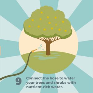 Geoff Lawton Instagram - Ready to transform your household greywater into a thriving ecosystem? Discover how with our latest infographic, offering a step-by-step guide on creating greywater reedbed systems. By harnessing nature's filtration power, you'll not only conserve water but also save money and prevent downstream pollution.

Interested in diving deeper into permaculture? Geoff's online Permaculture Design Certificate course provides comprehensive training in designing regenerative systems like these and much more! Click the link in our bio to learn more and sign up today! 

#permaculture #discoverpermaculture #permaculturecourse #greywater #reedbed #gardening #irrigation #greenliving #greendesign #sustainable #sustainableliving #sustainability #ecofriendly #waterconservation #recycling #recyclewater #environmentallyfriendly #renewableresources #organicgardening #howtomake #diy