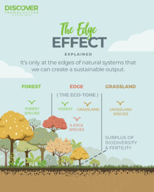 Geoff Lawton Instagram - Following up on our video about the edge effect, here's a visual breakdown! The edge effect in permaculture refers to the increased diversity and productivity at the boundary between two different ecosystems, known as the eco-tone. This area supports a greater variety of species, provides robust plant growth, accumulates nutrients, and creates varied microclimates. Permaculture design intentionally leverages this principle to maximize benefits for sustainable and productive landscapes.

Dive deeper into this and other transformative permaculture principles in Geoff's Online Permaculture Design Certificate course. Enroll now at discoverpermaculture.com or by following our bio link and use code INSTA150 for a $150 discount! 🌍💚

#permaculture #discoverpermaculture #permaculturecourse #permaculturedesigncourse #edgeeffect #permacultureprinciple #sustainability #biodiversity #ecosystems #regenerativeagriculture