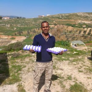 Geoff Lawton Instagram - The Jerash University Permaculture Project is making significant progress in Jordan. They are transforming this standard olive monoculture orchard into a food forest using various sustainable techniques such as support species and water harvesting swales. They have also established a crop-growing system in a polytunnel using smart chicken composting systems. The chickens produce eggs and brood chicks for meat and create all the compost fertilizer needed for the crop system. They use a tractor with a wood chipper and compost turner attachment to turn compost quickly and efficiently. 

The project is funded by the Adaptation Fund, with implementing partner UN Habitat and executing entity the Permaculture Research Institute. It offers hands-on permaculture education to students and reaches out to local villages and refugee communities, bringing hope for a secure and sustainable future for all. Geoff has also adapted his online permaculture design course for 200 aid recipients.

#permaculture #discoverpermaculture #foodforest #waterharvesting #swale #compost #fertilizer #garden #desertgarden #jerashuniversity #foodsecurity #watersecurity #waterscarcity #climateadaption #RWSCC #تغير_المناخ

w/ @UN-Habitat بالعربية @UNHabitatJORDAN @adaptationfund @unescwa @UnHabitat @adaptationfund @greeningthedesertprojectii