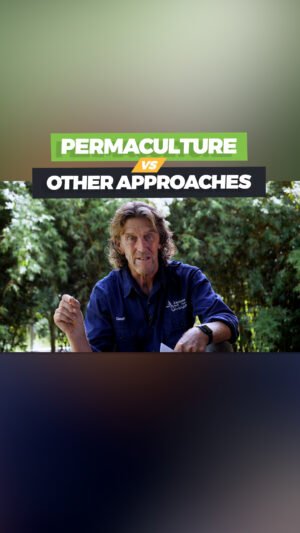 Geoff Lawton Instagram - Let's design a sustainable future together! This reel is a snippet from Geoff's weekly Q&A session for students in the Online Permaculture Design Course. Enrollments for 2024 are now open. Click the link in our bio or visit discoverpermaculture.com for all the details. Use the code "INSTA150" to receive a $150 tuition discount.

#permaculture #discoverpermaculture #permaculturedesign #permaculturecourse #permaculturedesigncourse #whatispermaculture #sustainable #sustianability #sustainableliving #selfsufficent #greenliving