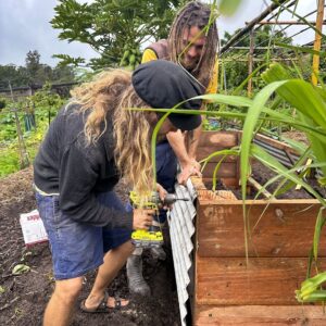 Geoff Lawton Instagram - With the help of Mario and Fabio, Geoff is in the kitchen garden, creating a new raised garden bed using recycled materials. After heavy rains saturated our contour beds, Geoff opted for this practical solution. He started by placing logs and sticks at the bottom for drainage, then added rich soil, compost, and mulch, and finished with seedlings. 

#permaculture #diacoverpermaculture #raisedgardenbeds #organicgardening #gardening #recycling #sustainability #DIY #greenthumb #backyardgardening