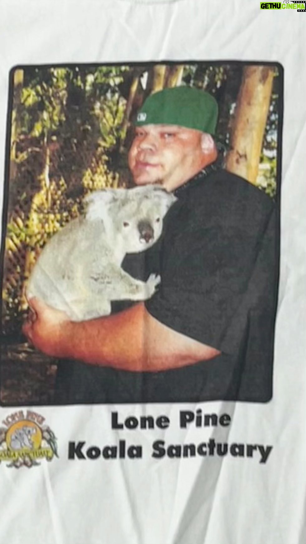George Murdoch - 4K Likes - That time I went to koala prom….