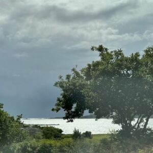 Gert Wingårdh Instagram - Semester i juli i Sverige
Medelvind 15,0 byvind 17,1.
Regnby är på ingång över Skagerak.
Vattenytan är uppressad 38 cm
Temperaturen ör 17,1 grader i ytvattnet.
Helt underbart med andra ord!