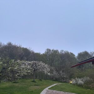 Gert Wingårdh Instagram - Luften svalnar..

Vattenångan blir dis...

Magnolian skönhetsbadar....

Öppnar upp och suktar...

Våren är här

Jaaaaaaaaaaaaaa.......
