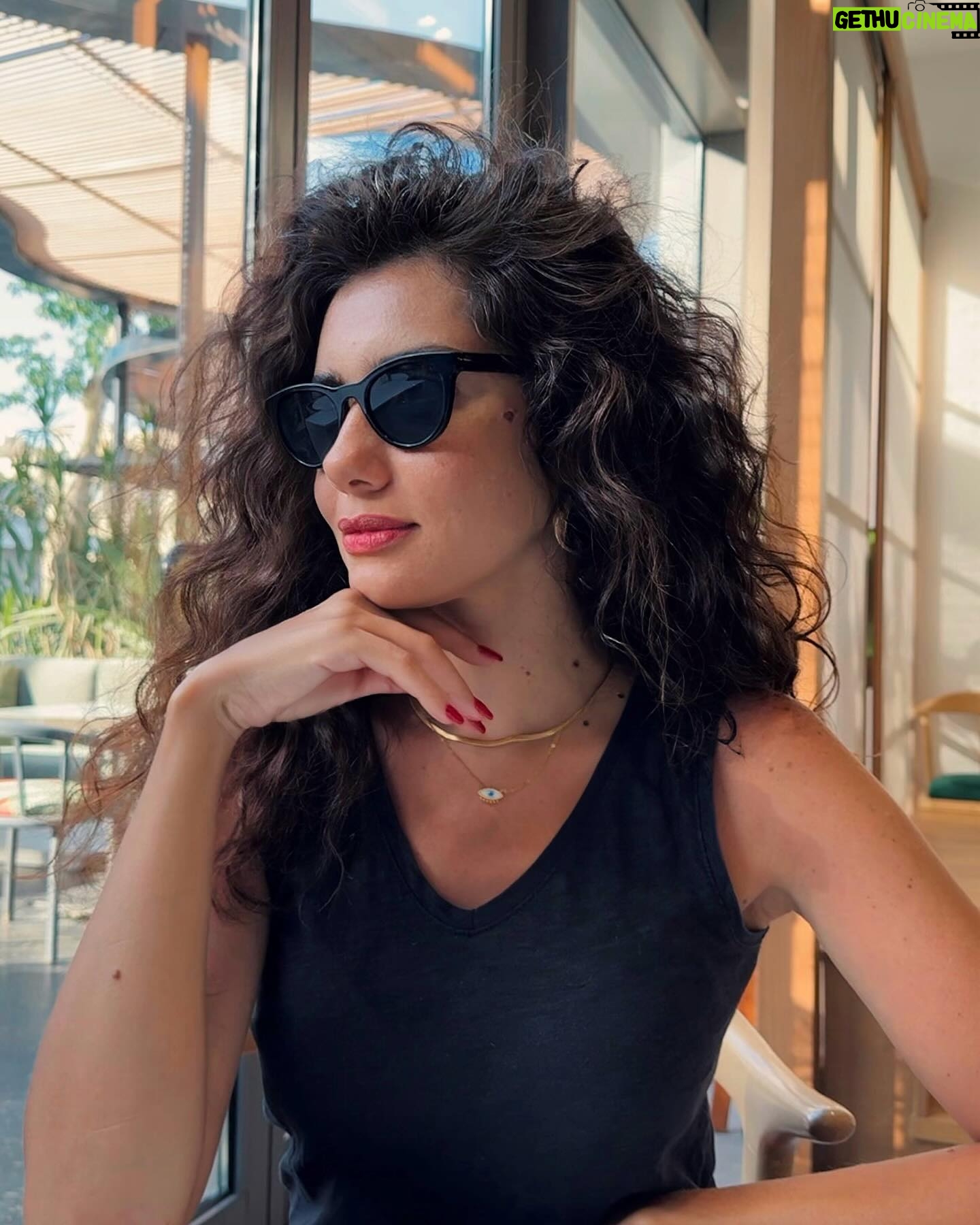 Gihan El Shamashergy Wiki Biography Age Photos Spouse And More