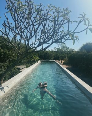 Gillian Zinser Instagram - its toni’s world, we just live in it 🐼