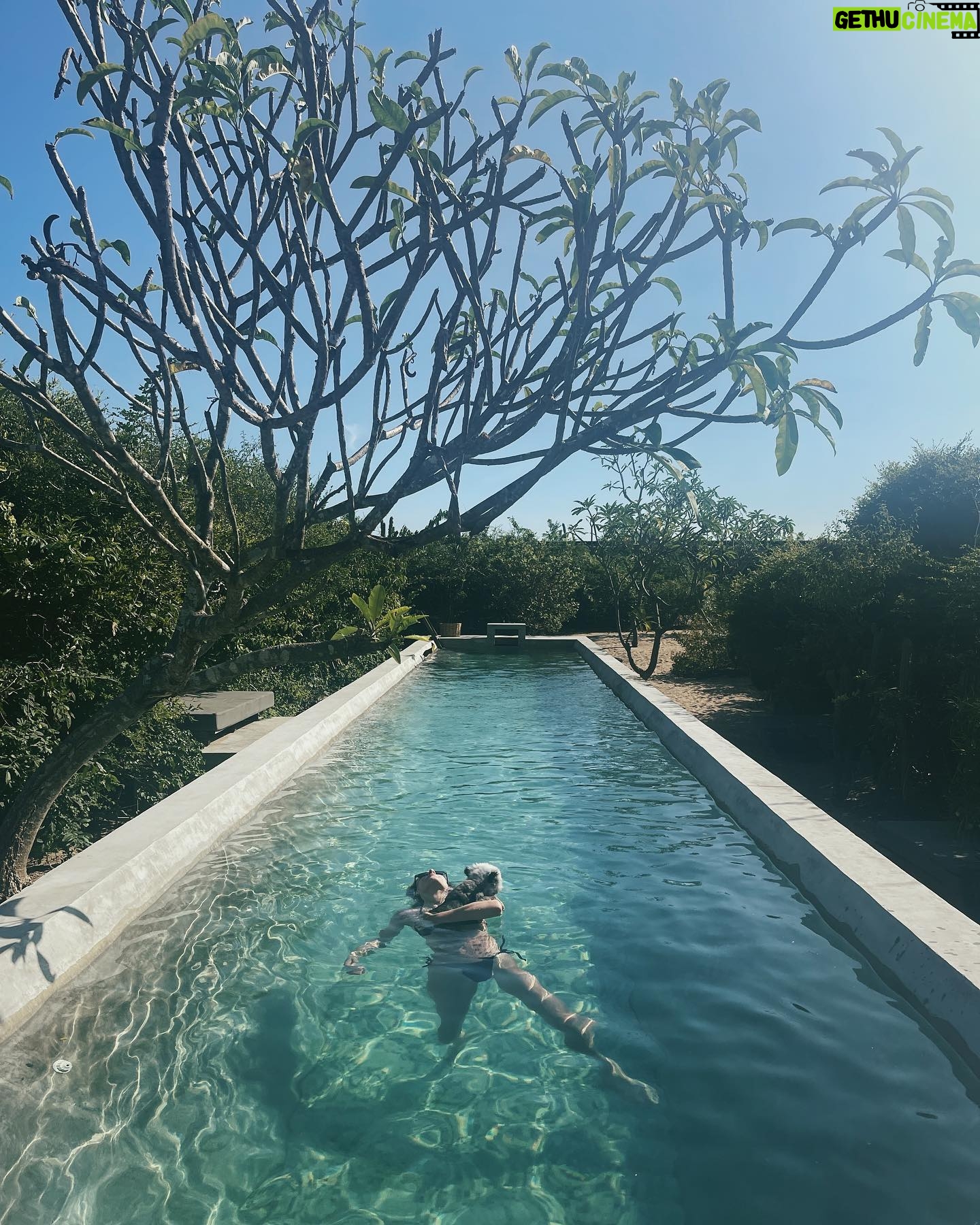 Gillian Zinser - 3 Likes - its toni’s world, we just live in it 🐼