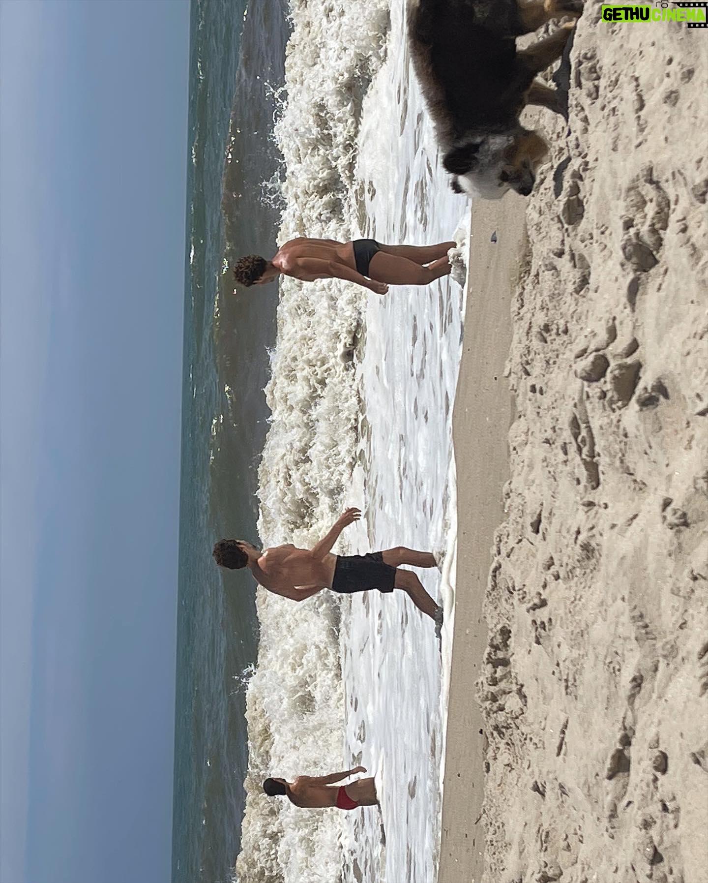 Gillian Zinser - 3 Likes - fire island dump