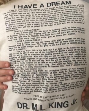 Gillian Zinser Instagram - “We must learn to live together as brothers, or perish together as fools.” 

i cant think of a more imperative moment to pause, reflect upon and honor the life and teachings of one of the most beautiful humans to ever grace this place, Dr. Martin Luther King. 

King’s closing words in his ‘Letter from a Birmingham Jail’ ring as true today as when they were written in 1963: 

“Let us all hope that the dark clouds of racial prejudice will soon pass away and the deep fog of misunderstanding will be lifted from our fear drenched communities, and in some not too distant tomorrow the radiant stars of love and brotherhood will shine on our great nation with all their scintillating beauty.“