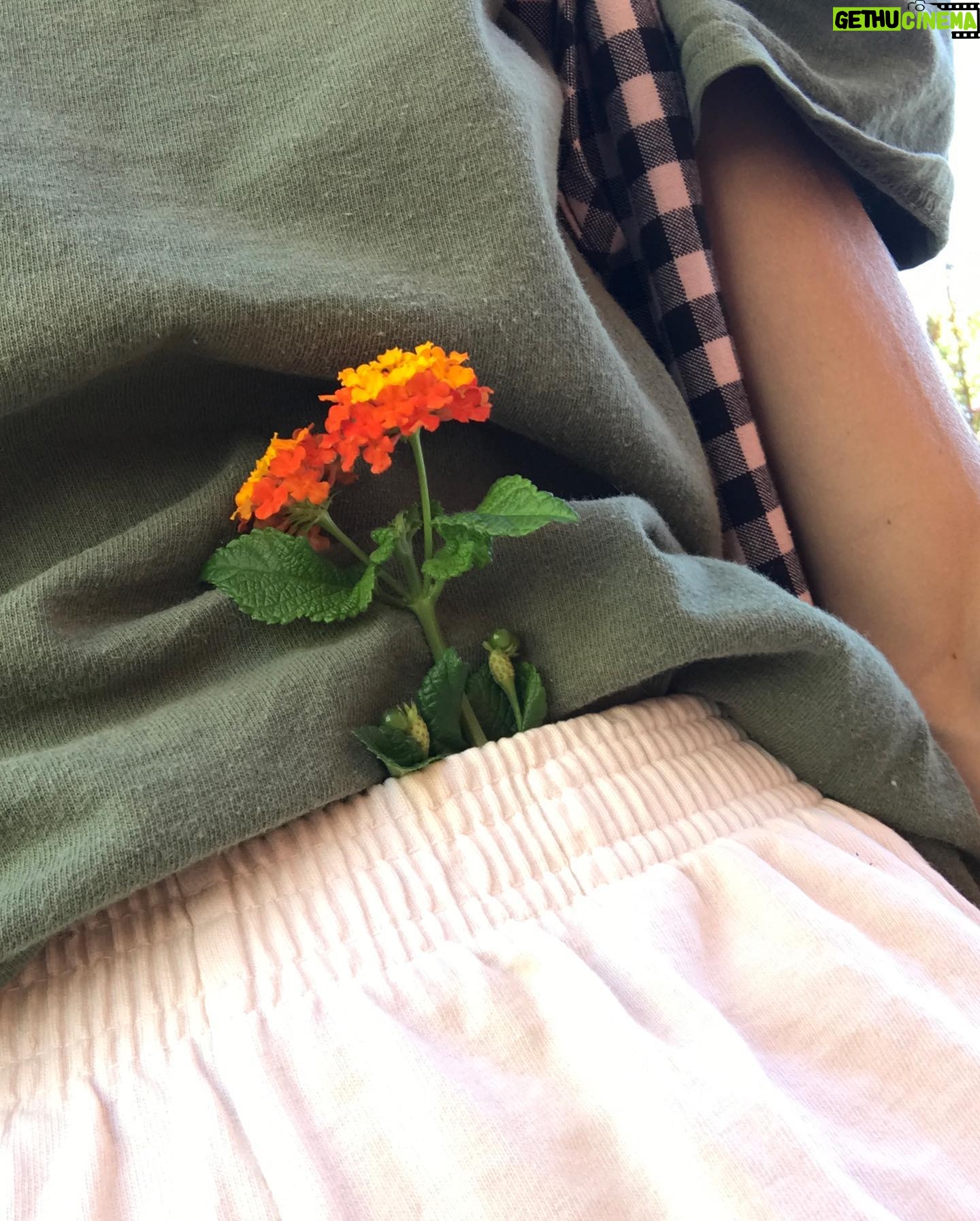 Gillian Zinser - 5K Likes - dreaming bout warmer days