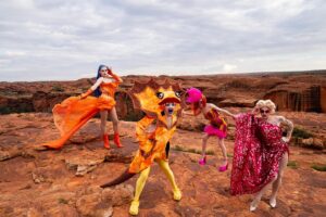 Ginny Lemon Instagram - “A cock, in a frock, on a rock, IN CROCS!”

In honour of the 30th anniversary of The Adventures of Priscilla, Queen of the Desert me and my sisters @officialsistersister @queenutica and @joeyjayisgay were given the fantastic opportunity to re-enact the final scene by claiming up Kings Canyon in full drag to commemorate 30th years of this iconic Australian drag masterpiece of cinema, a cult classic and any drag queens favourite. 

I could never in my wildest dreams believe that I would be lucky enough to be chosen for this, proper have to pinch myself. 

Also when they said “hey do you wanna do a photoshoot up Kings Canyon” I never thought about ACTUALLY walking up there, in FULL DRAG at 4am in the DARK! But we did it! To watch the sunrise in one of the most beautiful places on earth, was an absolute honour. 

Big love and shoutout to the amazing team who were with us the whole way and put up with my Diva fits @thekassieh @with.all.drew.respect  and @discoveryparksandresorts

Shot by @kanechenoweth on location at @watarrkanationalpark 🏜️

#ntaustralia @ntaustralia

Travel #sponsored by @australia 

#SeeAustralia