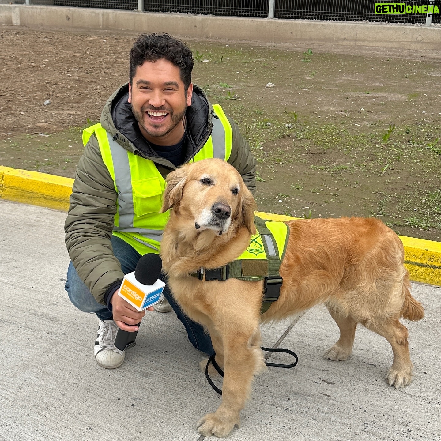 Gino Costa - 1.3K Likes - Foster es la ley 🐶
@contigochv