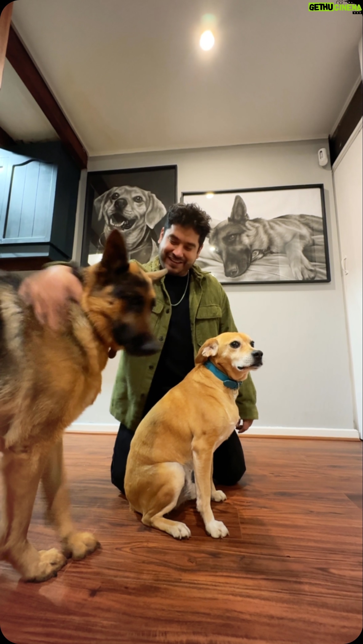 Gino Costa - 1.4K Likes - 🙌 Hermosos retratos a carbón de Lorenza y Hachi realizados con mucho amor por @homenaje.mascotas 🩵 que lindo es tener a nuestras guaguas inspirándonos en nuestro lugar favorito de nuestro hogar🐶
