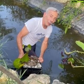 Giovanni Storti - 45.1K Likes - Piante fitodepuratrici, nifee e piante galleggianti renderanno unico e magnifico il nostro nuovo stagno…da cui non riesco più ad uscire 🪴
#GiovanniStorti #Giova