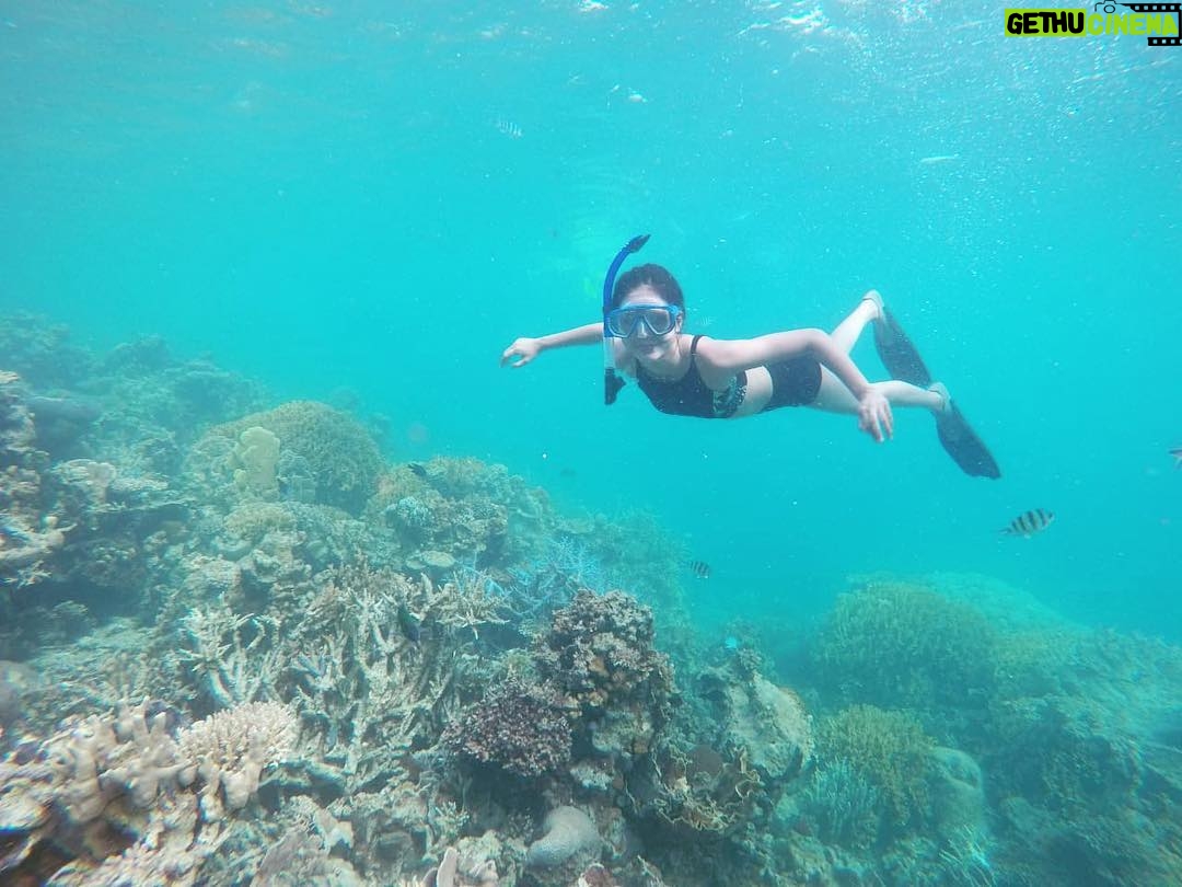 Gita Virga - 3.4K Likes - Kissing the deep sea.