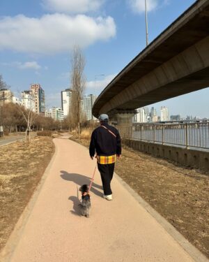 Go Gyu-pil Instagram - 