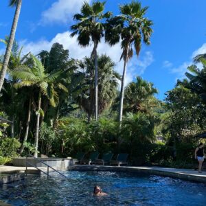 Gordon Toi Hatfield Instagram - Another stunning day here in paradise with the whole whanau now @heeds_native and @akanihihareata_ arrived last night so the first thing is swim time. Look at my tattooed whanau, couldn’t be prouder