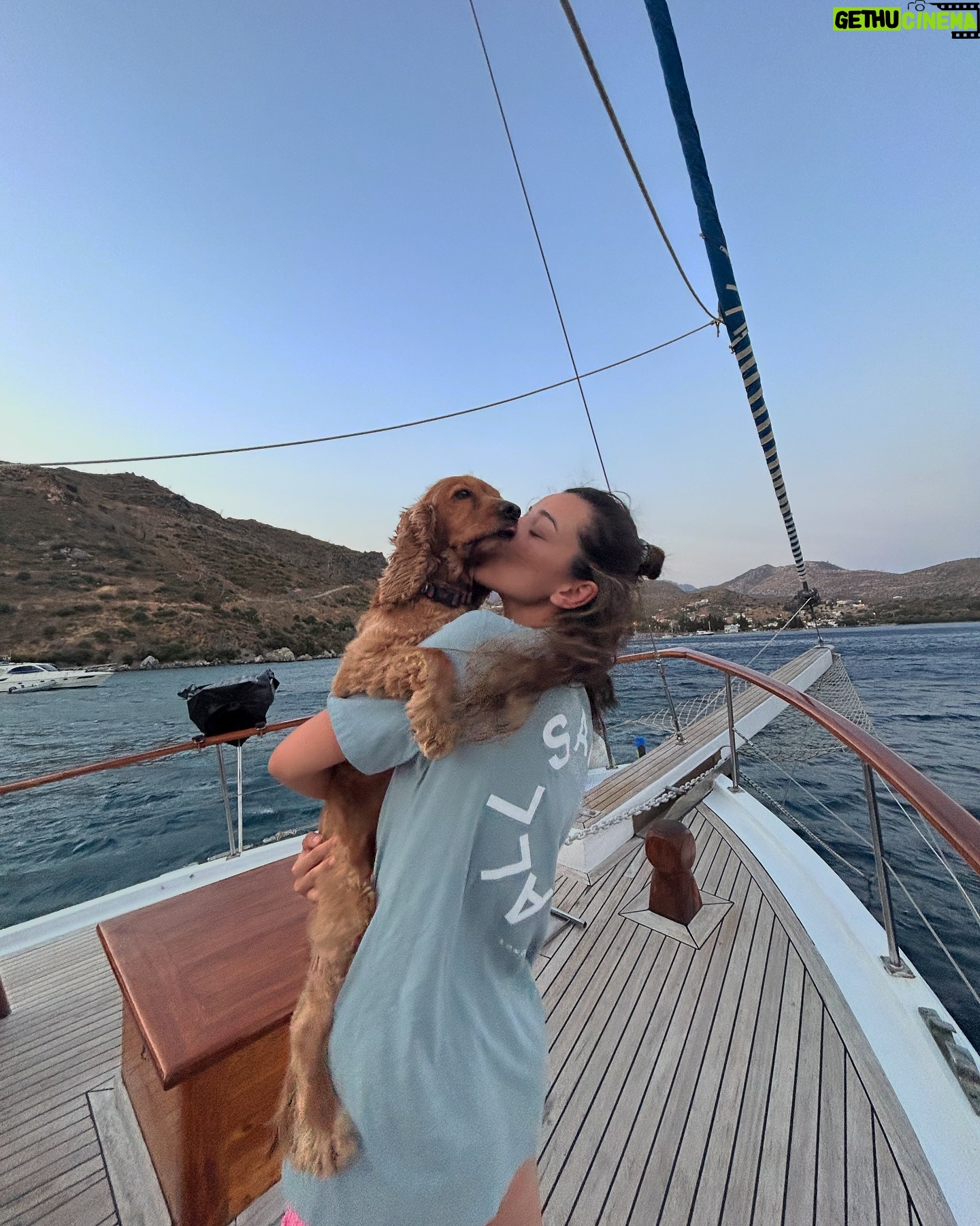 Gözde Duru - 0.9K Likes - Yacht dump💙🐬🛥️⚓️ 🌞🌅🌙🌑