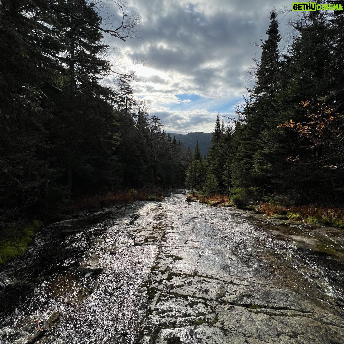 Gregor Gillespie - 1.6K Likes - I remember two years ago when we went on a whim to climb whiteface one weekend that we had free, Christina @x_tina0227 told me how hard climbing a high peak would be. I shrugged it off and told her “all I do is workout, don’t forget that”. She also told me she thought it would take us 10 years to complete our 46. I guess we were both wrong because I REALLY struggled up that first mountain, and here we are exactly two years later and only 10 peaks to go! Thank you for introducing me to this wonderful journey and there is NO one that I’d rather be doing it with! You’re the toughest woman I know and I love you with ALL of my ❤️. (These pictures are from mt Marshall)