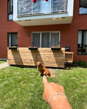 Guillaume Pineault Instagram - Ouais ben, je me suis fait un deck!

On m’a appelé M. Pineault à la quincaillerie Home Dépôt. En même temps j’ai fait 17 aller-retour, un moment donné, on me reconnait de la cour à bois jusqu’à la caisse. 

Pour les intéressés, j’prends les contrats pour l’été. 

À noter : 
- Je mesure en centimètre. Pas vrai que je vais commencer à faire des coupes à 5/8 fort. De un je ne comprends rien, et de deux, même en centimètres mes coupes sont fortes. 

- Après mes coupes, si ça dépasse je recoupe pas, j’y vais à la sableuse… ça prendra le temps que ça prendra, anyway je charge à l’heure. (Les bout sont super doux, parce que je prends du papier 120). 

- Tarif à l’heure : 500$ (tu sauves car pas de taxes).

- Tu peux m’aider, mais c’est 50$ de l’heure de plus (Pour ton training et ta formation). 

- Chacun de mes doigts vaut 25 000$, faque parle-moi pas pendant que je suis sur la scie, ça pourrait te couter cher. 

- J’utilise pas de niveau, j’y vais à l’œil. Si une fois fixé c’est croche, inquiètez-vous pas, j’y vais à coup de marteau pour égaliser le tout, ça crochi les vis pis ça donne de la force à la structure, trust moi, c’est solide. Pour les empreintes de marteau, ça fait rustique. 

- Mes vis son trop longue faque je visse toujours en angle pis quand ça dépasse, c’est de même, ça éloigne les voleurs, c’est une sécurité. Sinon je peux les botter avec mon grinder, mais y’a un extra. 

- J’enlève pas mes bottes pour aller pisser en dedans chez vous. J’laisse la porte patio ouverte, parce que j’aime ça avoir une petite draft d’air clim de temps en temps. 

- Mes outils font du bruit parce que je les ai toutes pogné au pawn shop, mais je les adore parce qu’ils sont toutes Jaunes, parait que c’est des bons ça selon Bobby, le vendeur. (Pour les intéressés, il achète ton Or, Bobby).

- J’ai des pertes dans le bois… pas vraiment lors des coupes, plus lors du transport, je strappe pas les planches dans le pick-up (J’comprends pas les criss de strap, pis si je réussi à strapper, je ne sais pas comment les dé-strapper) !

Ps : Pour vrai, je suis quand même fier du deck.
Ps2 : Non j’ai pas fait ça seul 😅
Ps3 : Pauline adore sa petite porte!