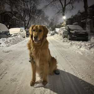 Guillaume Pineault Instagram - À qui la rue ? 

Pauline ❄️