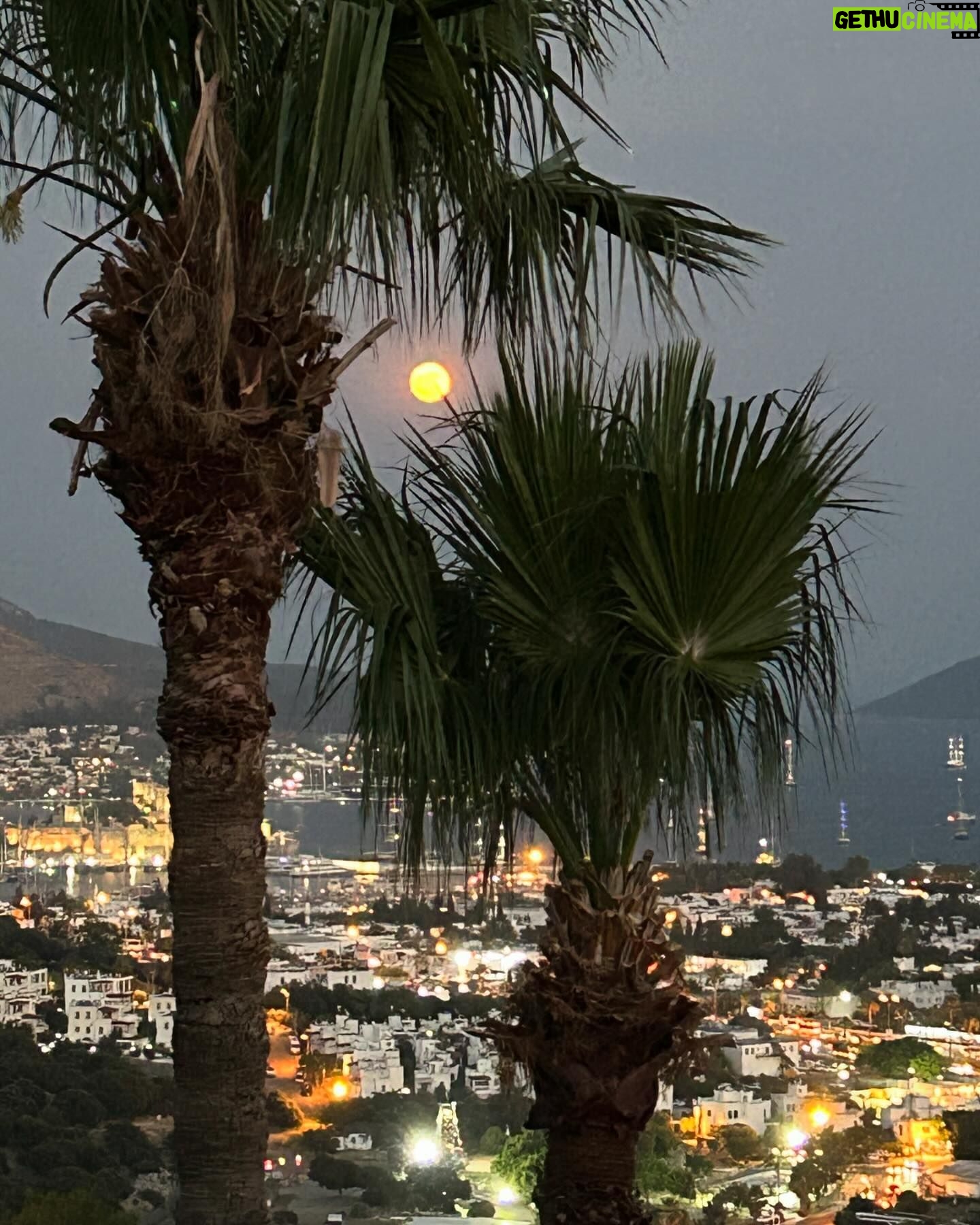 Gülşen Bubikoğlu - 5.1K Likes - En uzun gün ve dolunay..🌕