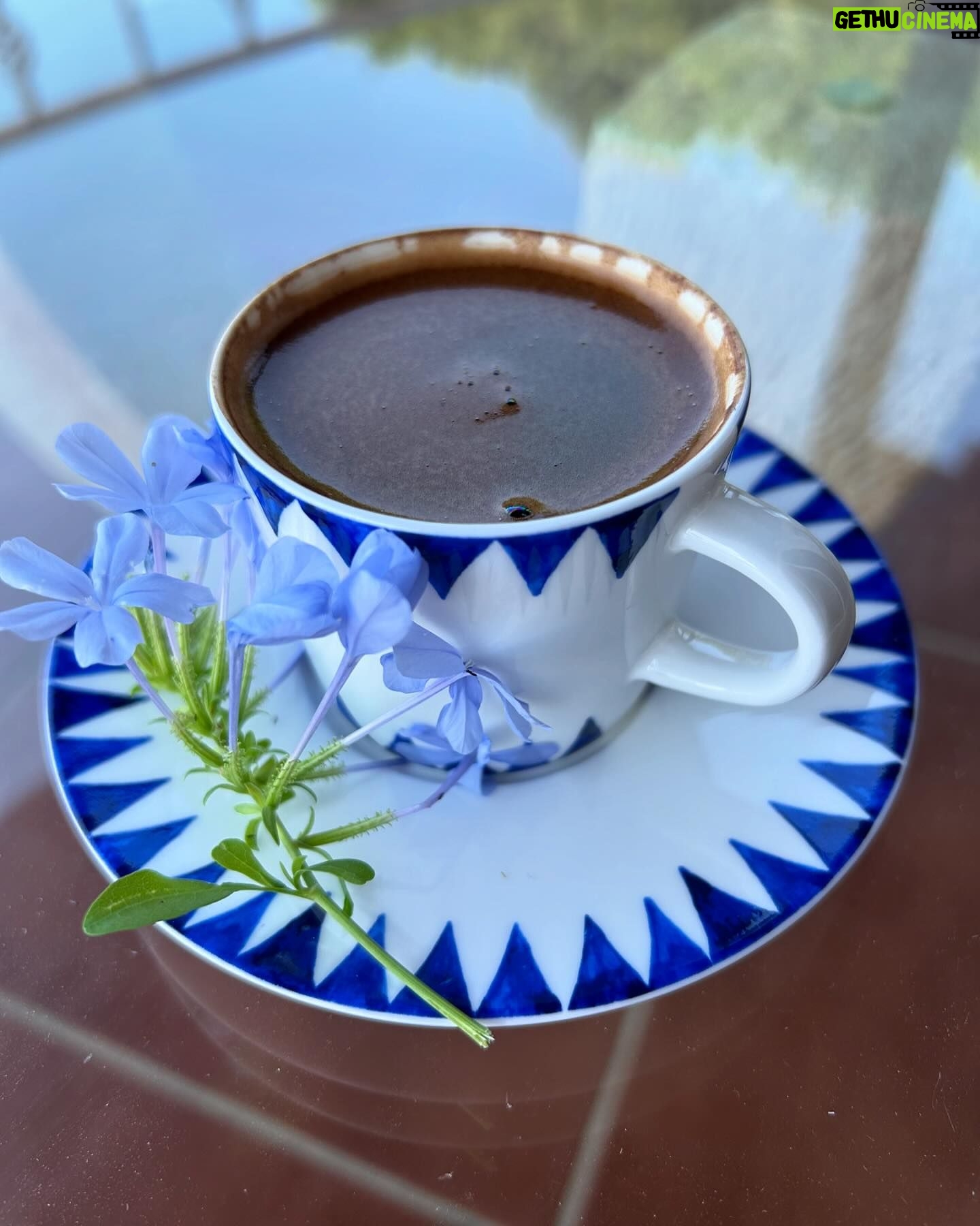 Gülşen Bubikoğlu - 5K Likes - Melek elinden sabah kahvesi, başka..🥰