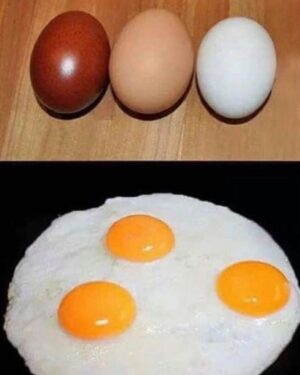 Hakkı Ergök Instagram - Irkçılığa bir atıf.