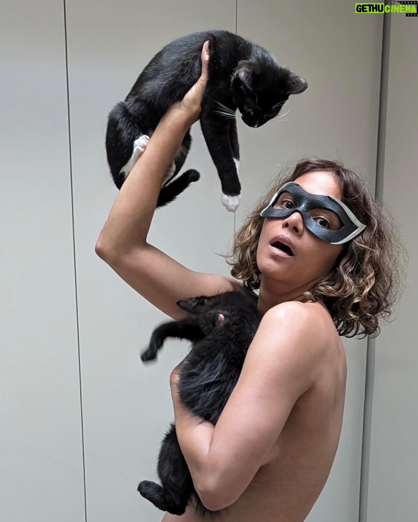 Halle Berry - 542.4K Likes - And STILL... meow!
It’s been 20 years today since I had the honor of bringing this iconic character to life. She will always be close to my heart and I will forever be Patience Phillips aka CATWOMAN!
Thank you @missjee79! When these black beauties showed up in my yard searching for their mother, Jee helped us through the rescue process. Forever grateful! ♥️