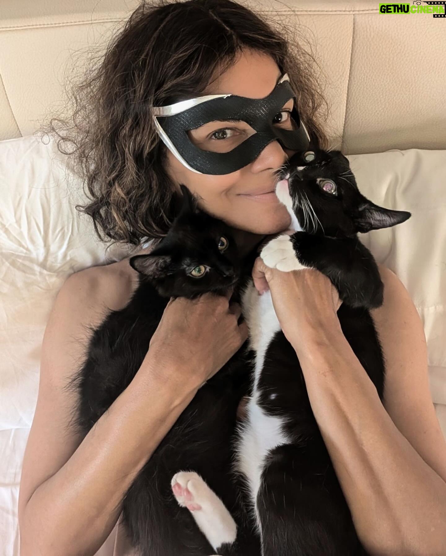 Halle Berry - 542.4K Likes - And STILL... meow!
It’s been 20 years today since I had the honor of bringing this iconic character to life. She will always be close to my heart and I will forever be Patience Phillips aka CATWOMAN!
Thank you @missjee79! When these black beauties showed up in my yard searching for their mother, Jee helped us through the rescue process. Forever grateful! ♥️