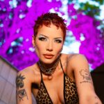 Halsey