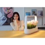 Ham Eun-jeong