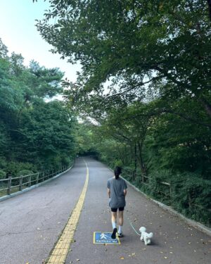 Han Hye-yeon Instagram - 𝕋ℍ𝔼 ℂ𝕌𝕋𝔼𝕊𝕋 ℝ𝕌ℕℕ𝕀ℕ𝔾 𝕄𝔸𝕋𝔼 🐶🐶
있잖아 너 분명히 걷는다고 했잖아 어뜩할래 ~~;;;
집에 가까? ㅋㅋㅋㅋㅋㅋㅋ stop & go 를 백번하다 결국 안고 
남산행 7km 오운완🏃‍♀️ 그래두 고마웠어 모래 주머니 효과😅

#인생뭐있어 #타협하지않는삶 #모닝루틴 #오운완