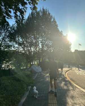 Han Hye-yeon Instagram - 𝕋ℍ𝔼 ℂ𝕌𝕋𝔼𝕊𝕋 ℝ𝕌ℕℕ𝕀ℕ𝔾 𝕄𝔸𝕋𝔼 🐶🐶
있잖아 너 분명히 걷는다고 했잖아 어뜩할래 ~~;;;
집에 가까? ㅋㅋㅋㅋㅋㅋㅋ stop & go 를 백번하다 결국 안고 
남산행 7km 오운완🏃‍♀️ 그래두 고마웠어 모래 주머니 효과😅

#인생뭐있어 #타협하지않는삶 #모닝루틴 #오운완