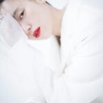 Han Hyo-joo