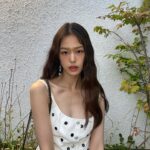 Han Sung-min