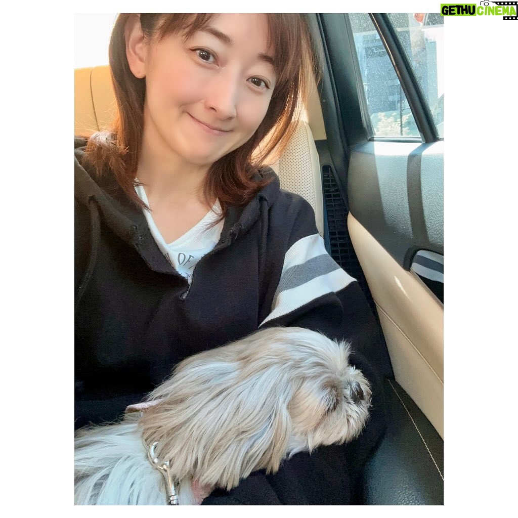Hanafusa Mari - 3.8K Likes - いざ大阪へ🚅
今日もらぴちゃんがお見送りしてくれました💕(らぴ太爆睡😅)
@lappy444
#らぴ太
#ジーズー
#らぴ太広報部長
#花總まり
#明日から大阪で
#銀行強盗にあって妻が縮んでしまった事件
#観に来てね😊