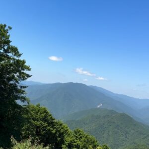 Hanafusa Mari Instagram - 毎日なんだかジメジメとしております😓
さてさて、玉置神社に行った時の写真がまだありました😊
２枚目の写真は玉置神社の入り口からの風景です。ここからあの参道を登っていきます。
３枚目の写真は綺麗なトカゲちゃん。他にも色の違うトカゲちゃんもいました。
それから、写真には撮れませんでしたが、行きも帰りも同じようなところで白い蝶々がお出迎えとお見送りもしてくれました。

本当に一歩踏み入れればそこは別空間のような特別な空気のところでした。
今思えば少しでも雨が降っていてたり、雨上がりだったりで地面がぬかるんでいたらとても歩けるようなところではなかったので、本当にお天気で良かったです。
感謝です✨⛩️

#玉置神社
#奈良県
#十津川村
#熊野三山
#花總まり
