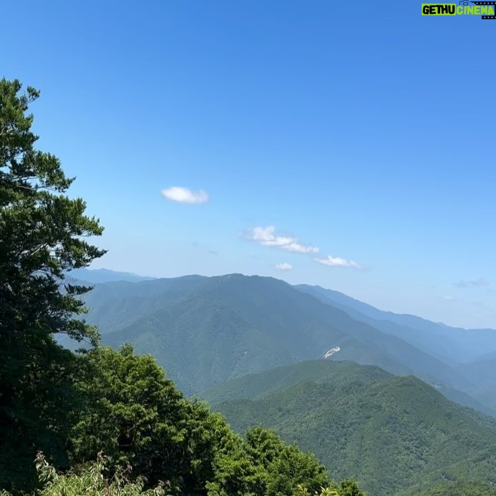 Hanafusa Mari - 4.9K Likes - 毎日なんだかジメジメとしております😓
さてさて、玉置神社に行った時の写真がまだありました😊
2枚目の写真は玉置神社の入り口からの風景です。ここからあの参道を登っていきます。
3枚目の写真は綺麗なトカゲちゃん。他にも色の違うトカゲちゃんもいました。
それから、写真には撮れませんでしたが、行きも帰りも同じようなところで白い蝶々がお出迎えとお見送りもしてくれました。
本当に一歩踏み入れればそこは別空間のような特別な空気のところでした。
今思えば少しでも雨が降っていてたり、雨上がりだったりで地面がぬかるんでいたらとても歩けるようなところではなかったので、本当にお天気で良かったです。
感謝です✨⛩️
#玉置神社
#奈良県
#十津川村
#熊野三山
#花總まり