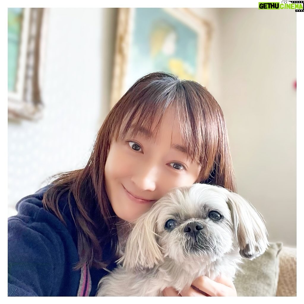 Hanafusa Mari - 7K Likes - 明けましておめでとうございます🌅
今年は4日から博多で「ベートーヴェン」から始まります!
一日一日を大切に今年も頑張りたいと思います。
皆さまとって笑顔あふれる一年となりますように✨
本年もどうか宜しくお願い致します。
#らぴ太広報部長
#僕もよろしくワン🐶
@lappy444
#花總まり