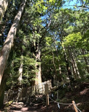 Hanafusa Mari Instagram - 先日、世界遺産、熊野三山　奥の宮の玉置神社に行ってきました。
この神社は「呼ばれた人しか辿り着けない」といわれている神社でしたので、無事に参拝できるかドキドキしていましたが、とても良いお天気で参拝客もほとんどいなく、静かにゆっくりと参拝することができました。他にも写真を撮ったので今回は２回にわけてアップしますね😊

#玉置神社
#熊野三山
#奥の宮