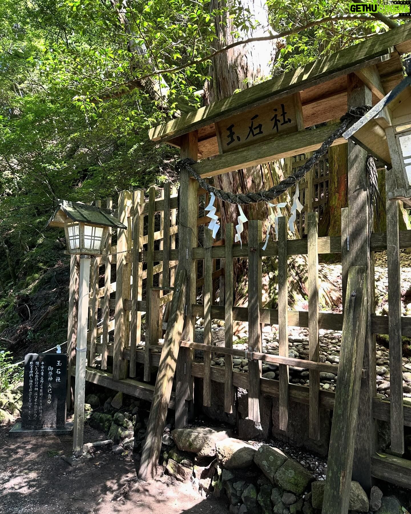 Hanafusa Mari - 3.8K Likes - 先日、世界遺産、熊野三山 奥の宮の玉置神社に行ってきました。
この神社は「呼ばれた人しか辿り着けない」といわれている神社でしたので、無事に参拝できるかドキドキしていましたが、とても良いお天気で参拝客もほとんどいなく、静かにゆっくりと参拝することができました。他にも写真を撮ったので今回は2回にわけてアップしますね😊
#玉置神社
#熊野三山
#奥の宮