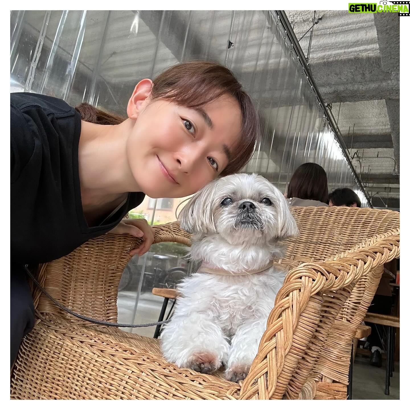 Hanafusa Mari - 4.2K Likes - 今日は久しぶりにらぴ太とデート❤️
最近ゆっくりらぴ太と過ごせなかったので幸せな一日でした😊
あ、その前に東京都知事選の期日前投票にも行ってきました(当日はお仕事なので)
皆さんいつもちゃんと投票していますか?投票率の低い日本。その一票の積み重ねが何かを変えるんです。
投票に行きましょう。
#らぴ太
#らぴ太広報部長
@lappy444
#シーズー