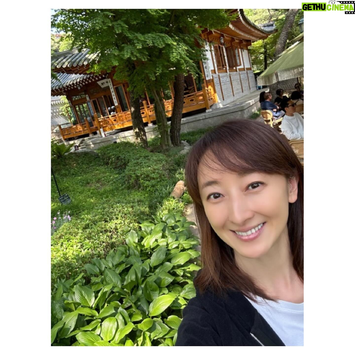 Hanafusa Mari - 3.6K Likes - テイさんとお茶したところはここ🫖
韓国の伝統家屋カフェ。
三淸閣の中にある東白軒というところ。
お天気も良く、とても気持ちの良いところでした😆
頼んだお茶は五味茶。
チョウセンゴミシの果実を乾燥させたもので、「酸味・苦味・甘味・辛味・塩味」の5つの味がするということが、その名前の由来となっています。身体に良いお茶です。
とても美味しかったですよ😊
ここで楽しくお茶していてあっという間に空港に行かなくてはならない時間になってしまい、テイさんと写真を撮りそびれました😓
今回の韓国行きはお仕事でしたが、素敵な思い出がたくさんできました(^^)
#韓国#韓国カフェ