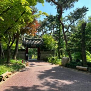 Hanafusa Mari Instagram - テイさんとお茶したところはここ🫖
韓国の伝統家屋カフェ。
三淸閣の中にある東白軒というところ。
お天気も良く、とても気持ちの良いところでした😆
頼んだお茶は五味茶。
チョウセンゴミシの果実を乾燥させたもので、「酸味・苦味・甘味・辛味・塩味」の５つの味がするということが、その名前の由来となっています。身体に良いお茶です。
とても美味しかったですよ😊
ここで楽しくお茶していてあっという間に空港に行かなくてはならない時間になってしまい、テイさんと写真を撮りそびれました😓

今回の韓国行きはお仕事でしたが、素敵な思い出がたくさんできました(^^)

#韓国#韓国カフェ