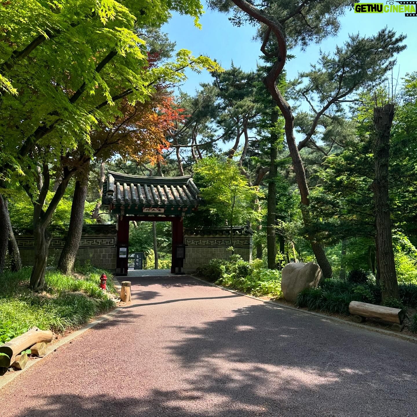 Hanafusa Mari - 3.6K Likes - テイさんとお茶したところはここ🫖
韓国の伝統家屋カフェ。
三淸閣の中にある東白軒というところ。
お天気も良く、とても気持ちの良いところでした😆
頼んだお茶は五味茶。
チョウセンゴミシの果実を乾燥させたもので、「酸味・苦味・甘味・辛味・塩味」の5つの味がするということが、その名前の由来となっています。身体に良いお茶です。
とても美味しかったですよ😊
ここで楽しくお茶していてあっという間に空港に行かなくてはならない時間になってしまい、テイさんと写真を撮りそびれました😓
今回の韓国行きはお仕事でしたが、素敵な思い出がたくさんできました(^^)
#韓国#韓国カフェ