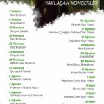 Hande Yener